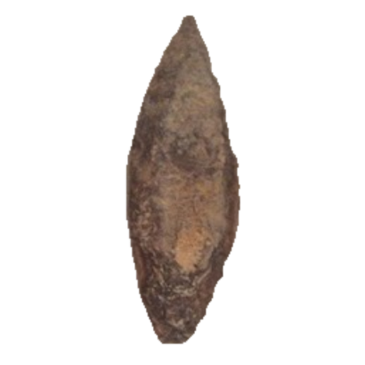 Nodena point, photo 15