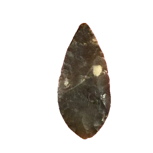 Nodena point, photo 19
