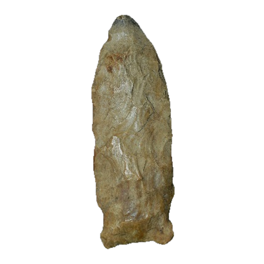 Osceola point, photo 10
