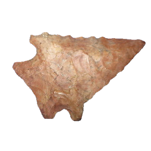 Palmer point, photo 22