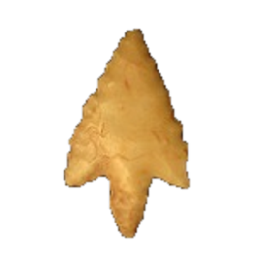 Perdiz point, photo 3