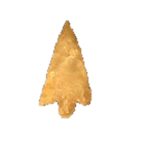 Perdiz point, photo 5
