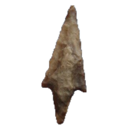 Perdiz point, photo 19