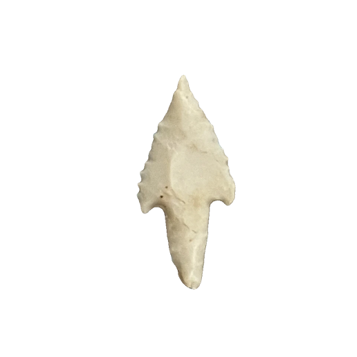 Perdiz point, photo 30
