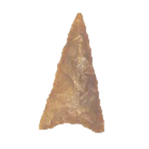 Plains Triangle point, photo 12