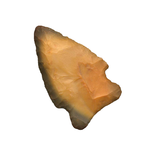 Rice Lobbed point, photo 20
