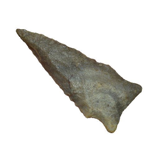 Rice Lobbed point, photo 22