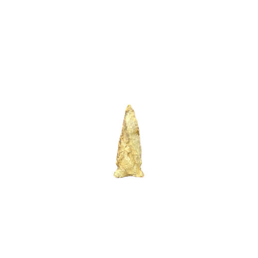Rice Shallow point, photo 14