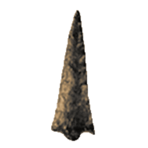 Salish Stemmed point, photo 4