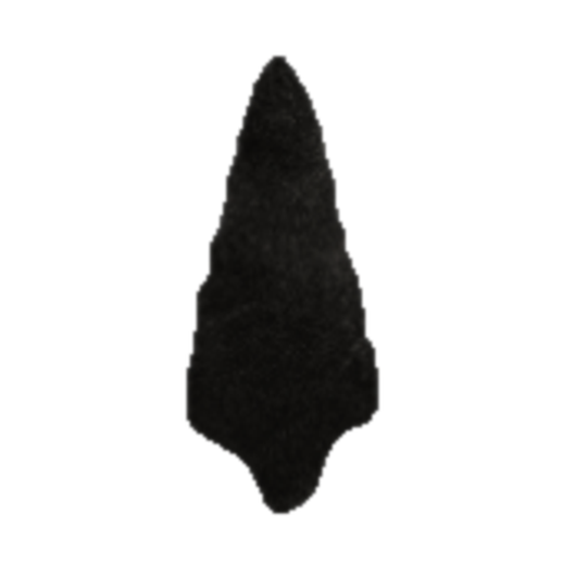 Salish Stemmed point, photo 6