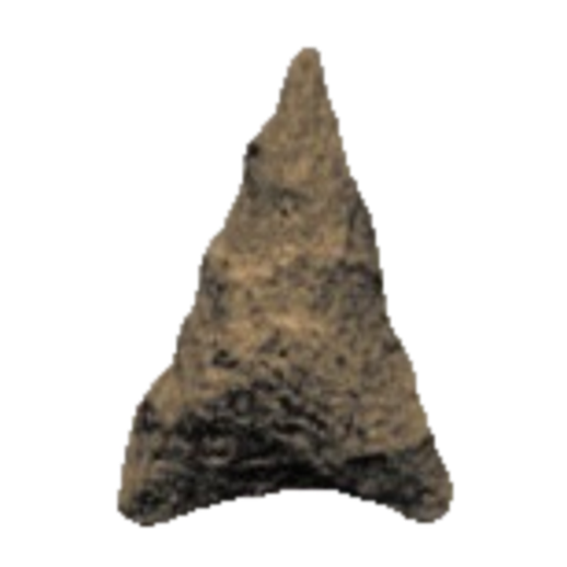 Salish Triangular point, photo 5