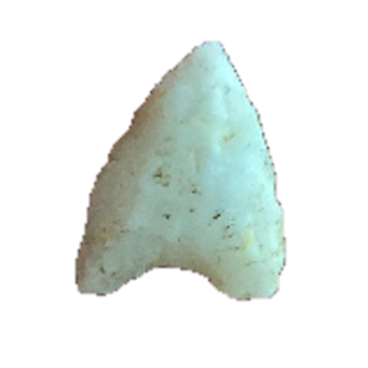 Squibnocket Triangle point, photo 2