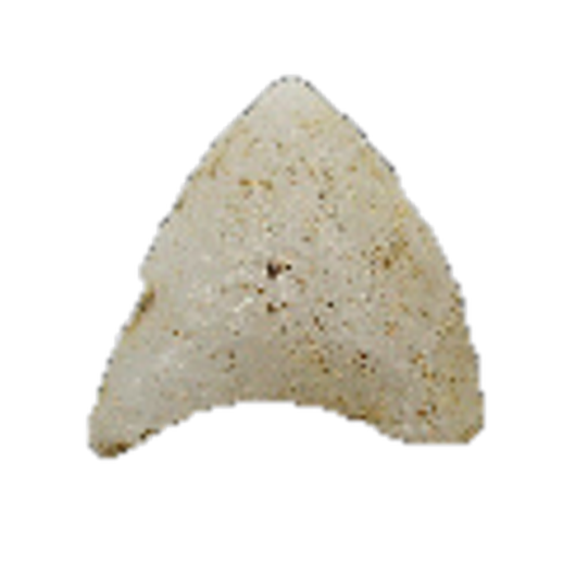 Squibnocket Triangle point, photo 6