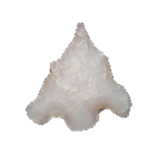 Steiner point, photo 3