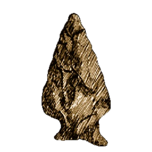 Susquehanna Broad point, photo 14