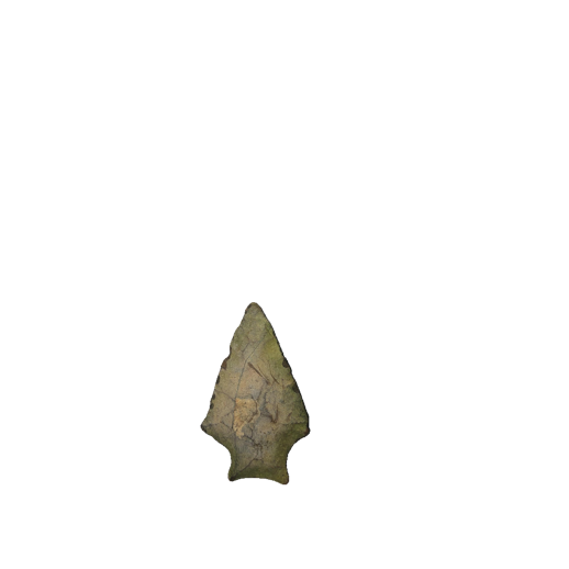 Susquehanna Broad point, photo 17