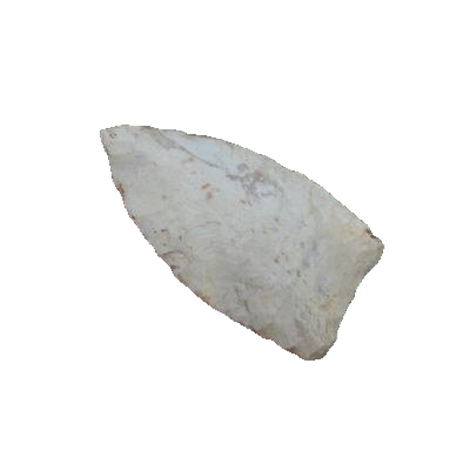 Suwannee point, photo 10