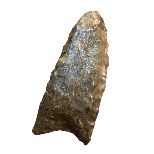 Suwannee point, photo 13