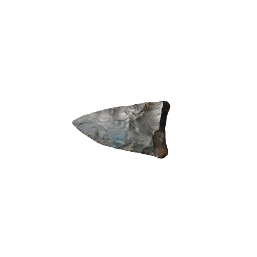 Suwannee point, photo 14