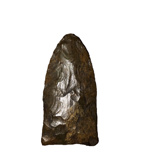 Suwannee point, photo 17