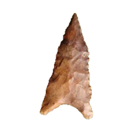 Tallahassee point, photo 3